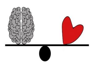 Brain and heart on a board, showing how exercise benefits the brain